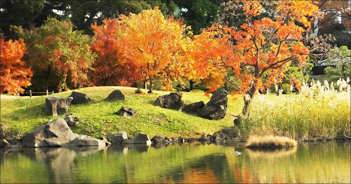 🌳 옛 시바 이궁 은사 정원(큐 시바리큐 온시 테이엔) 이미지 1
